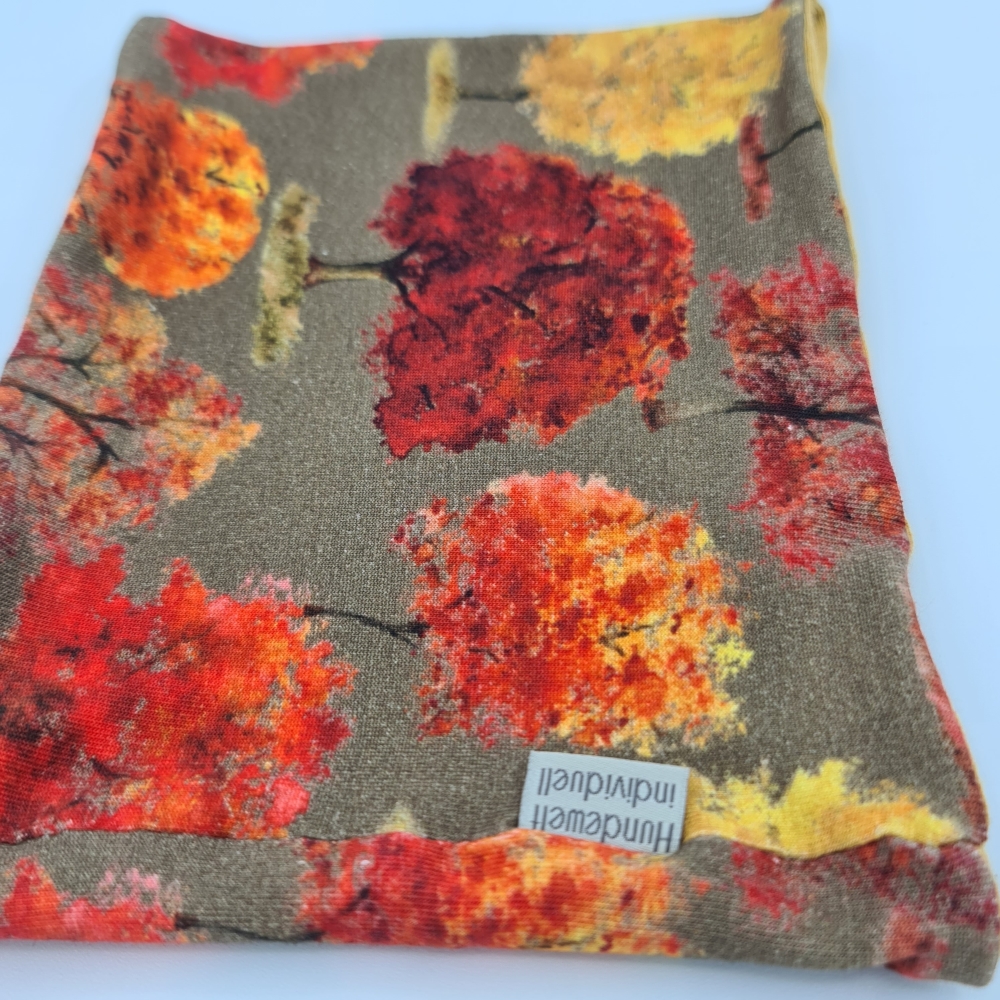 Loop für Hunde in Khaki mit Herbstbäumen